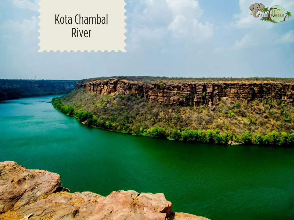 Kota Best for Chambal Views and Hadoti Landscapes